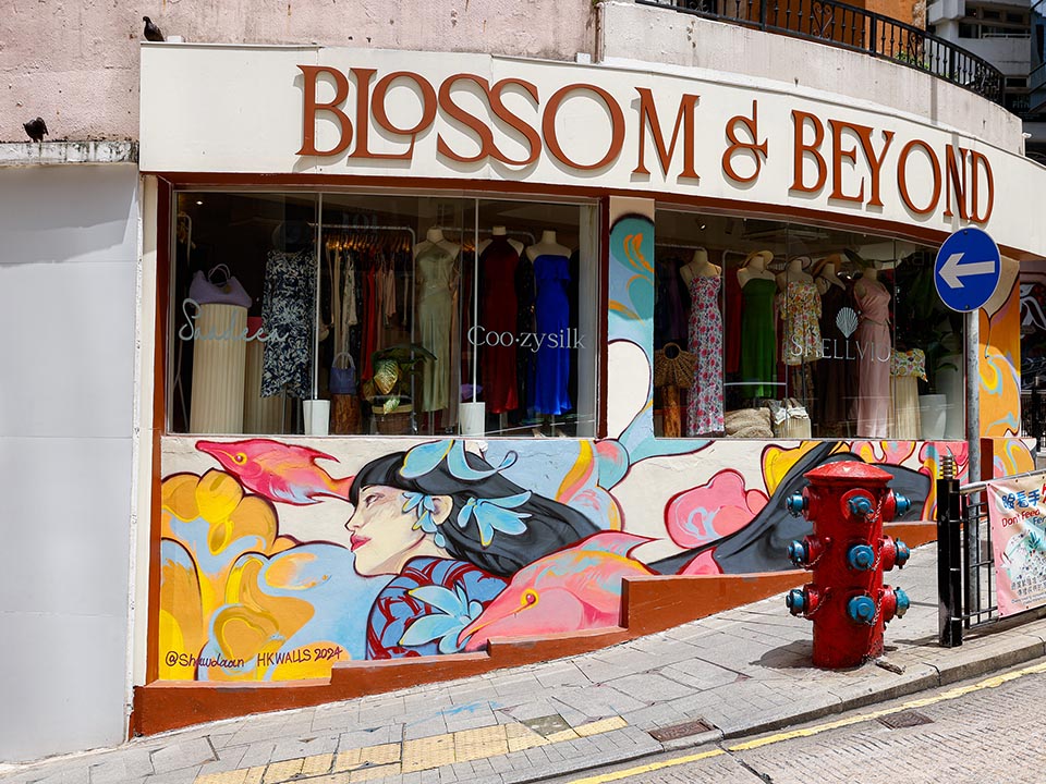 Shaw Daan在Blossom & Beyond的墙壁上，创作了色彩缤纷的街头壁画。