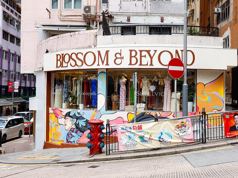 在摆花街的一家商店外，由Shaw Daan创作的彩色壁画。 