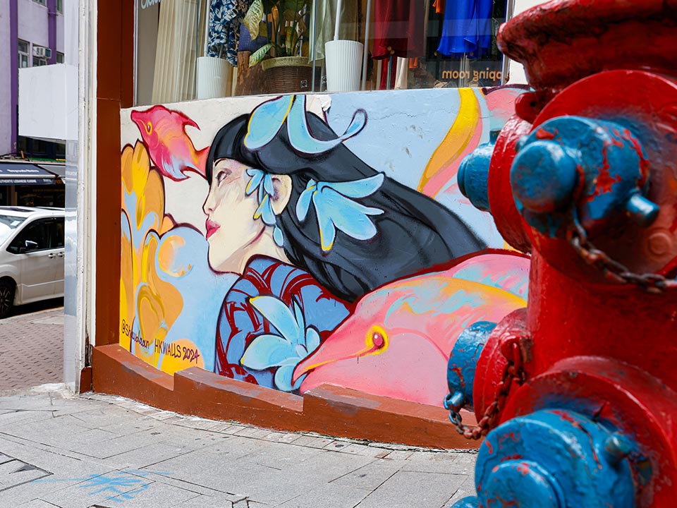 Shaw Daan在摆花街创作的壁画，描绘了花丛中女孩的面容。 