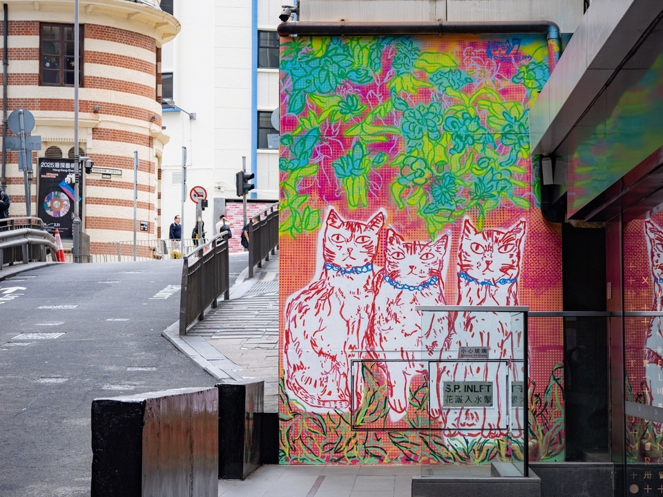 云咸街的一面红墙上，画有三只白猫的街头壁画。