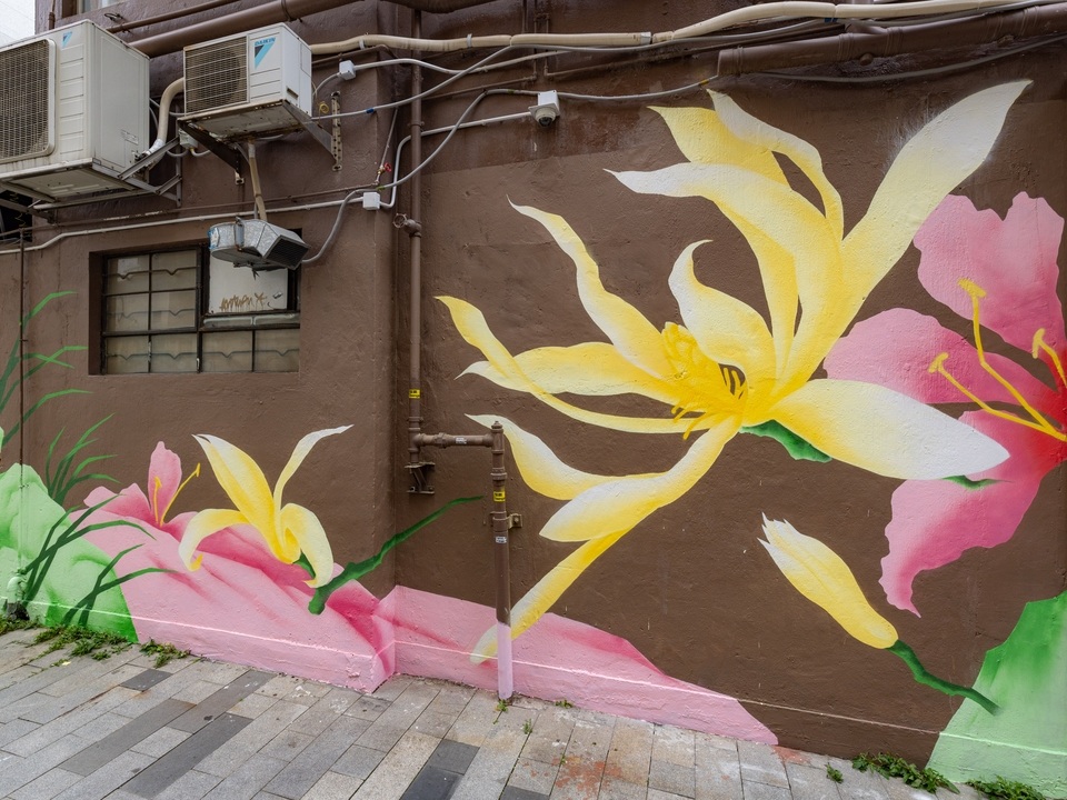 林子楠在三家里创作的花卉壁画。