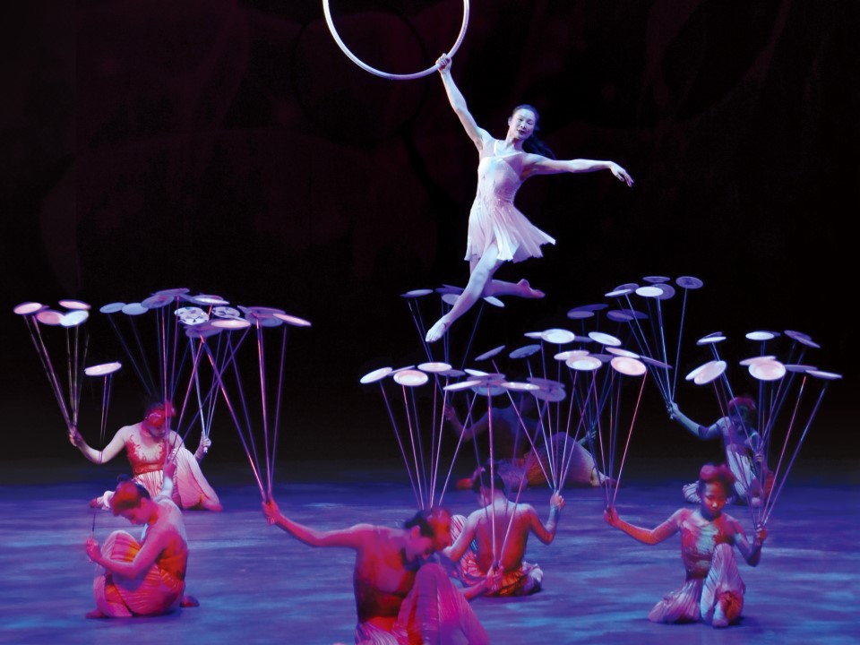 国际综艺合家欢呈现多个老少咸宜的表演包括舞蹈及戏剧。