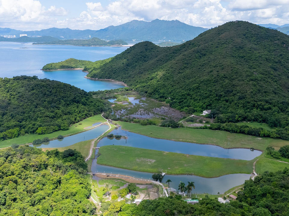 深涌大埔渔村生态发现之旅