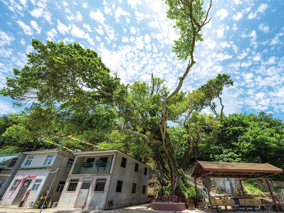 探索滘西洲古老小渔村