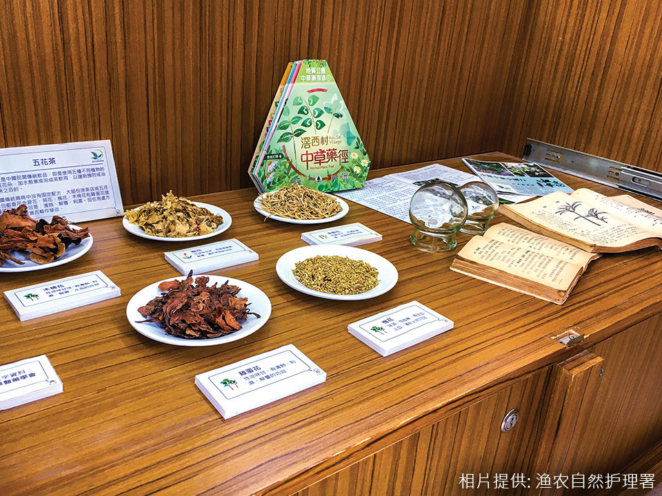 滘西村故事馆展出中草药