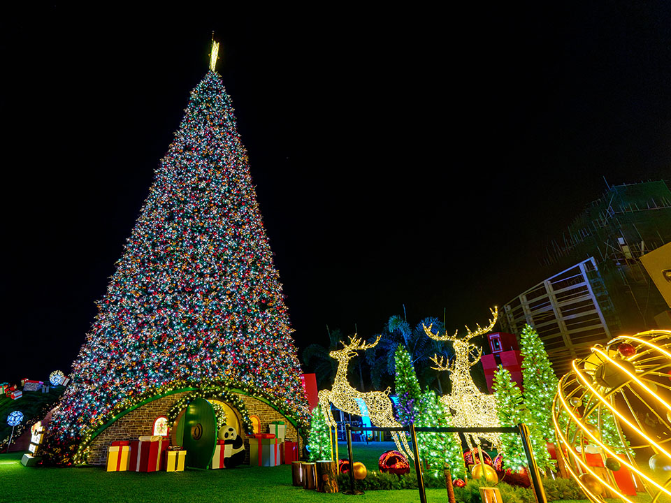 香港缤纷冬日巡礼